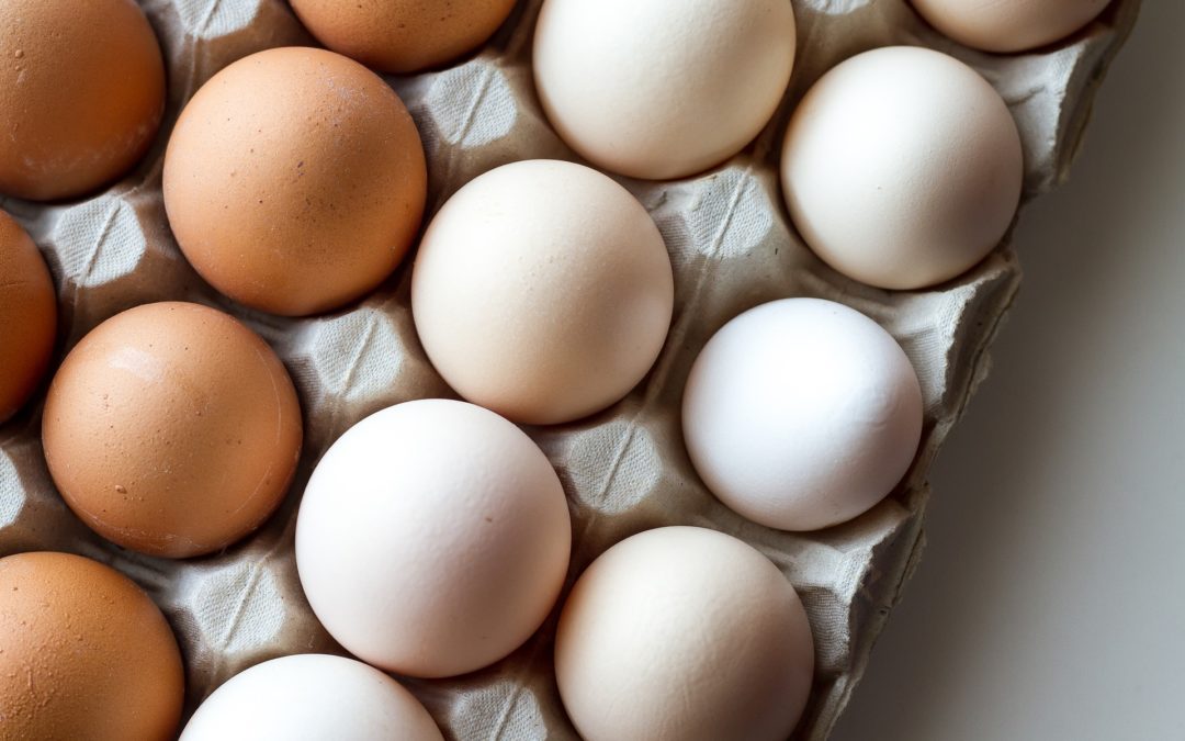 Ovate Pontics 101: Treatment Planning the ‘Egg Shaped’ Design